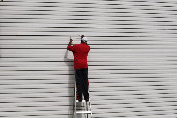 Best Siding Painting and Refinishing  in Bolivar, WV